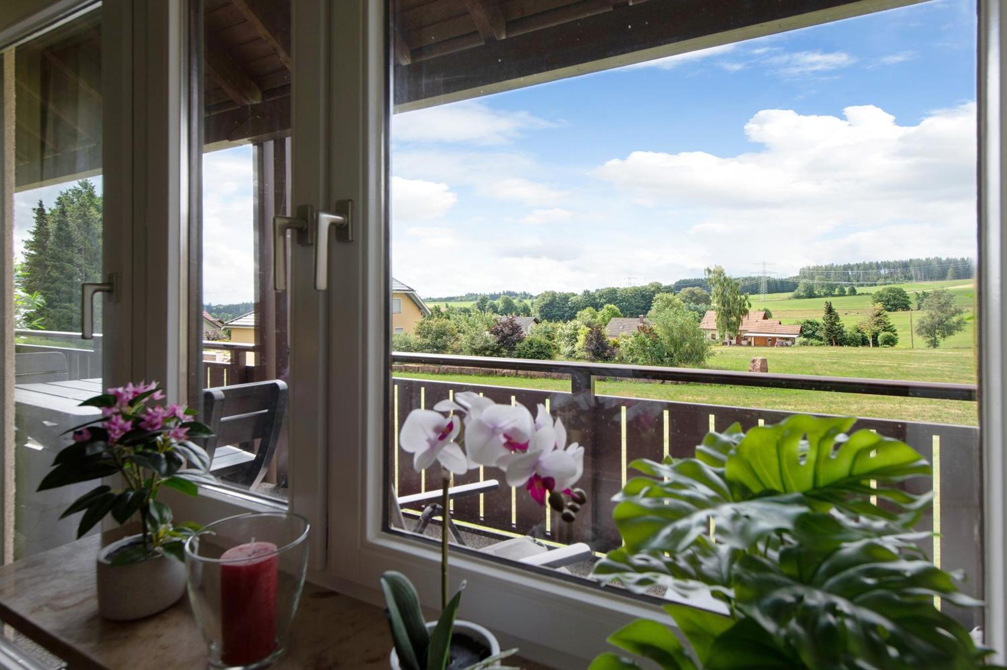 Ado Ferienwohnung Grafenhausen Extérieur photo